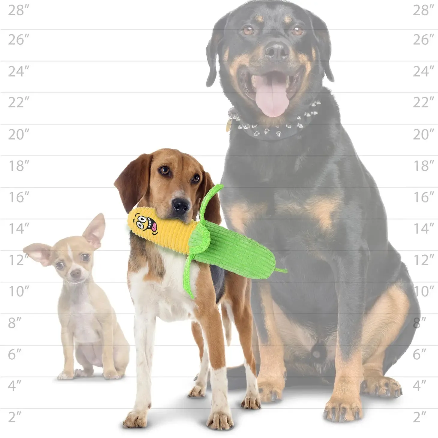 Tuffy Funny Food Corn, Durable, Squeaky Dog Toy 2-in-1